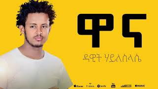 Dawit Hileslassie  Wana  ዋና New Ethiopian Music Video 2024 [upl. by Airrehs]