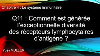 Chap 4  Le système immunitaire  Q11  Comment est générée la diversité des récepteurs dantigène [upl. by Ramin]