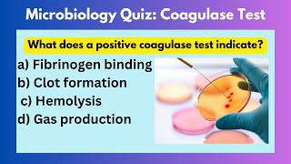 Microbiology Quiz  Microbiology mcqs questions and answers  Coagulase Test microbiology [upl. by Atiniv]