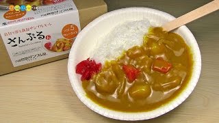 DIY Replica Food Kit  Curry and Rice 食品サンプルキットさんぷるん カレーライス作り [upl. by Avot819]