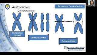 Anomalías Cromosómicas Numéricas y Estructurales  Parte No4 [upl. by Waller]