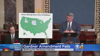 Sen Cory Gardner Vows To Fight For Marijuana Banking [upl. by Christoforo253]