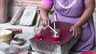 Cochineal Natural Dye Workshop [upl. by Pattison213]