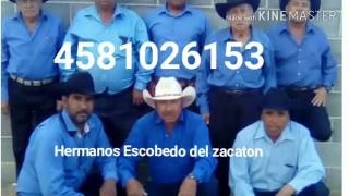 Los Hermanos Escobedo del zacaton El Toro Gacho y Guapango [upl. by Borchers]