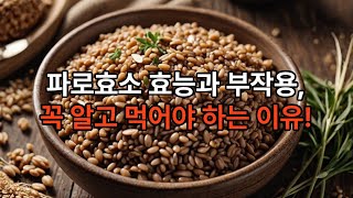 파로효소 효능과 부작용 제대로 알고 드셔야 해요 [upl. by Eitsyrk]