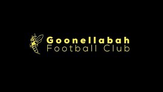 Goonellabah Hornets FC 2018 [upl. by Nnaharas]