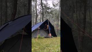 SOLO CAMPING IN HEAVY RAIN ⛈🏕 camping [upl. by Alorac]