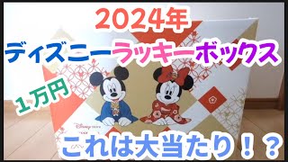 【ディズニー福袋】2024年ディズニーラッキーボックス。ディズニーストア．jp限定販売の１万円の福袋を大開封！豪華すぎてびっくり！ [upl. by Uriah]