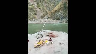 River Fishing Twelve Snowtrout Asala Fish Caught [upl. by Magdalena]