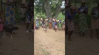 Danse traditionnelle de la tribu des Temberma au Togo 🇹🇬 [upl. by Milzie]