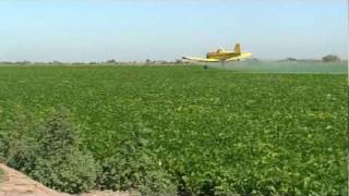 weatherly crop dustingspraying [upl. by Yonina]