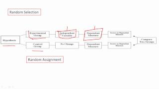 AP Psych Review Basic Experimental Design [upl. by Strohbehn255]