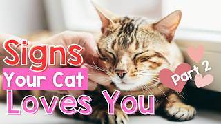 10 Signs Your Cat Loves You 🐈 ❤️  Does my Cat Love me  Part 2 [upl. by Anwahsad]