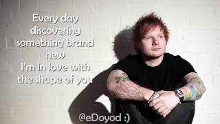 LIRIK LAGU shape of you lyrics Ed Sheeran [upl. by Chandler882]