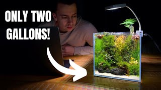 I Made a Mini DESK AQUARIUM Without a Filter Aquascape Tutorial [upl. by Salomi951]