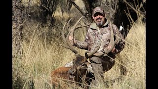 Argentina Red Stag Hunt Report [upl. by Lauretta]