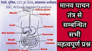 NMMS Exam class 8 Science Paper 2024 Related Questions  Digestive System [upl. by Gerty672]