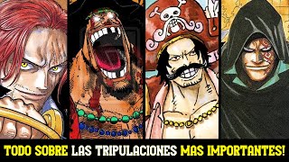 Las TRIPULACIONES de PIRATAS más IMPORTANTES de ONE PIECE  TODOS sus MISTERIOS Y SECRETOS [upl. by Nealey312]