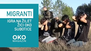 Oko magazin Migranti  igra na žilet žici oko Subotice [upl. by Wat]