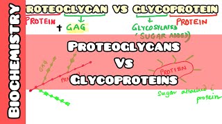 Proteoglycan VS Glycoproteins easy explanation for USMLE NEET PG INICET NCLEX [upl. by Losyram]