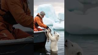 Tiny Polar Bears Heartwarming Rescue polarbearrescue wildlifeconservation arcticanimals [upl. by Weisler985]