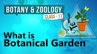 What Is Botanical Garden  Kingdom Plantae  Biology Class 11 [upl. by Mannuela]