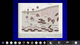 SEMIOLOGÍA 2  1ERA FASE  SÍNDROMES CORONARIOS Y SÍNDROMES VALVULARES [upl. by Rivard]