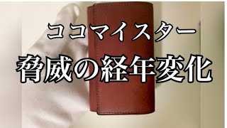 ココマイスターの革財布 経年変化がすごい ゴールドマイニング アレッジドウォレット 革小物 革財布 ココマイスター 経年変化 グッドオールド メンズ コンパクト財布 本革 [upl. by Ydnik]