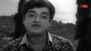 Mookkillaaraajyathe  Malayalam Old Hit Movie  Sambhavami Yuge Yuge  Video Song  Prem Nazir [upl. by Htur342]