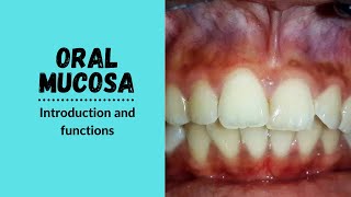 Oral Mucosa  Functions of Oral Mucosa [upl. by Noleta]