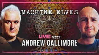 How DMT DEFIES Reality with Andrew Gallimore [upl. by Zacharia420]