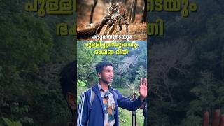 കടുവയുടെയും പുലിയുടെയും ഭക്ഷണരീതി  Periyar Tiger Reserve  shorts [upl. by Ahsille]