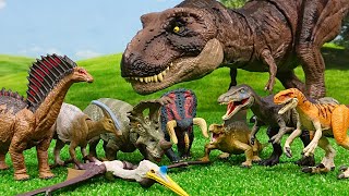 Dinosaur Jurassic World 8 types of dinosaur figures Many dinosaurs appear dinosaur jurassicworl [upl. by Jerrylee607]