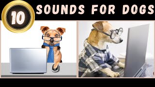 🤔Sounds That Tilt Dogs Heads🔔and Make Your Dog Go Crazy  10 Sounds for Dogs [upl. by Anelehs267]