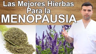 Las Mejores Hierbas Para la Menopausia [upl. by Rowell]