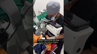 Cataract surgery in a dog shorts vetschool [upl. by Gerek]