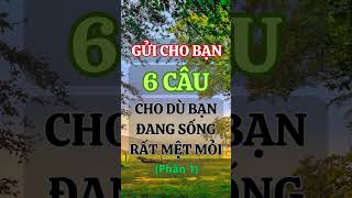 Gửi Cho Bạn 6 Câu Giúp Bạn Khai Mở Trái Tim Mình Phần 1shorts [upl. by Adnwahsal629]