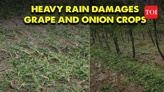 Nashik Grape vineyards and onion crops suffer extensive damage after heavy unseasonal rains [upl. by Otsenre]