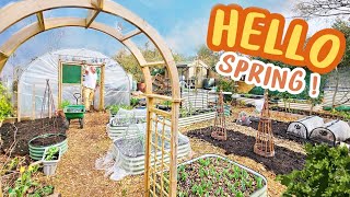 Amazing Allotment Transformation  No Dig  Spring Gardening [upl. by Mungam]