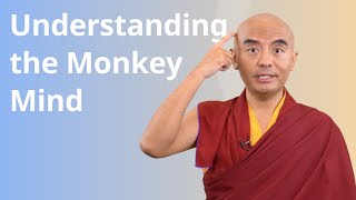 Understanding the Monkey Mind with Yongey Mingyur Rinpoche [upl. by Vallie434]