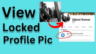 How to View Locked Profile Pictures on Facebook on PC 2024 [upl. by Aretta]