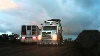 Truck amp Dog reversing [upl. by Sukul]