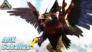 IM BACK YUK LANJUT CABALLUS LAGI ❗️ ARK SURVIVAL EVOLVED Caballus [upl. by Granoff18]