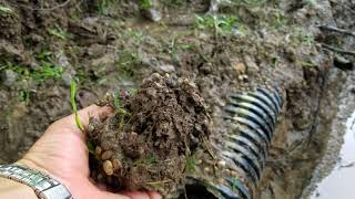 Dont Use a Filter Wrapped Corrugated Pipe for the Inlet of a French Drain System [upl. by Ajay]