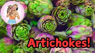 Health Benefits of Artichokes [upl. by Zashin]