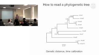 1 Phylogenetic analysis of pathogenslecture  part1 [upl. by Wei141]