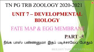 TN PG TRB ZOOLOGY DEVELOPMENTAL BIOLIGY FATE MAP amp EGG MEMBRANE UNIT 7 IN BIOLOGY TAMIL BY SASIKALA [upl. by Aili]