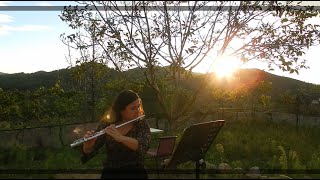 Saint Saëns  Le carnaval des animaux XIII Le cygne flute and piano [upl. by Lewse532]