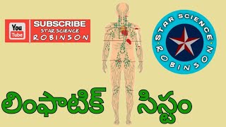 lymphatic system and lymph node in telugu star science robinson [upl. by Herwick825]