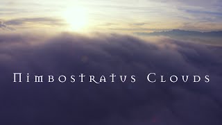 AV  Nimbostratus Clouds Official Lyric Video MEMORY PALACE ALBUM No 11 [upl. by Devine]